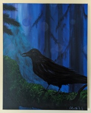 Night Crow