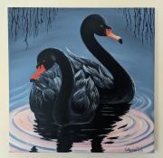 Two Black Swans